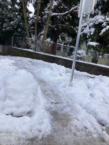 Schneeräumung Gehsteige/Zebrastreifen