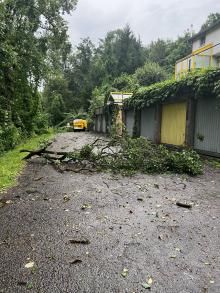 Sturmschäden durch sehr morsche Bäume