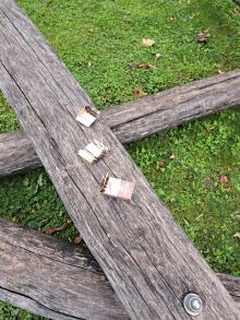 Verunreinigungen auf dem Spielplatz 