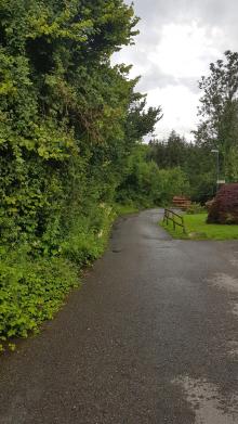 Bitte Baumschnitt Ende Rappenwaldstr. / Ecke Ladritsch (Tisis)