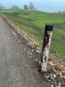 Verschmutzte Strasse