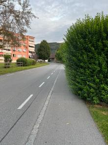 Hecke steht in Gehweg