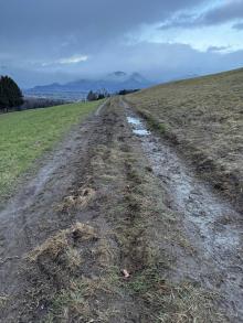 Landwirtschaftsweg in desolatem Zustand 